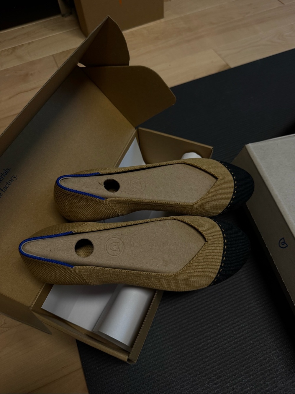 Classic Tan and Black Ballet Flats with Blue Trim